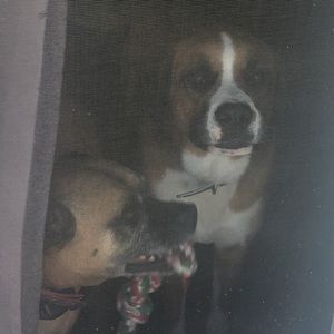 Meet your Posher, Line